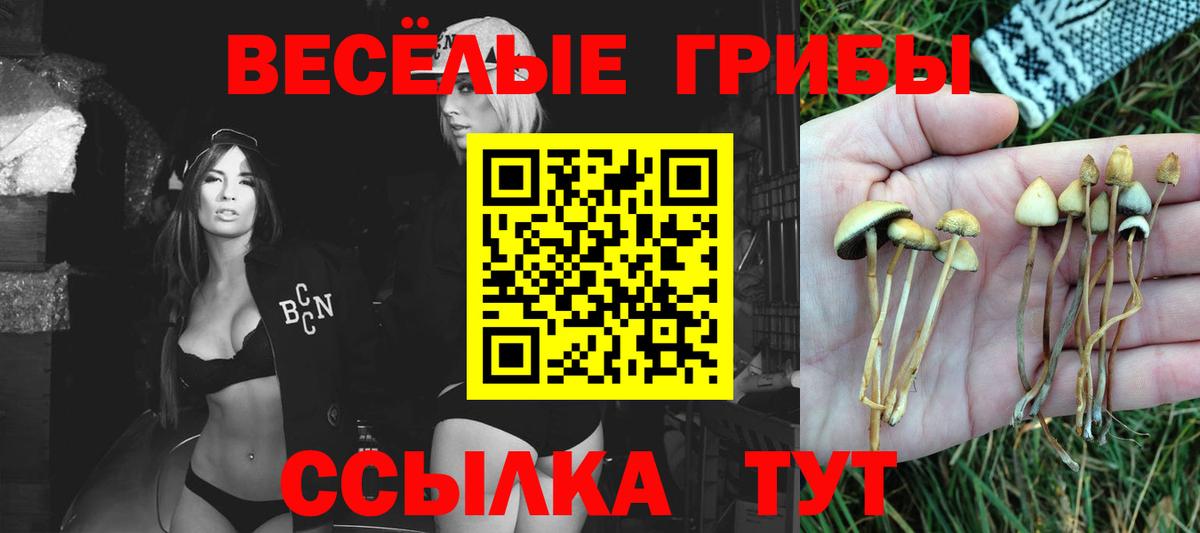 Полевской  Галлюциногенные грибы MAGIC MUSHROOMS  Вход с VPN  Псилоцибиновые грибы мицелий 