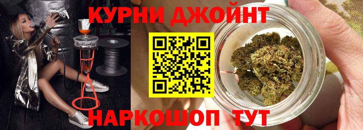 Каннабис сатива Полевской